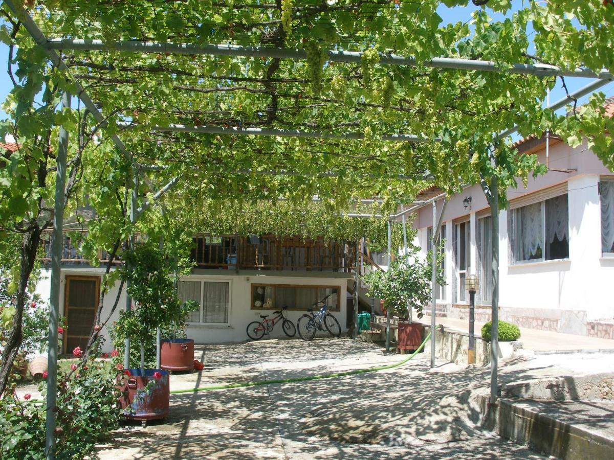 Green Leaves Nea Iraklitsa エクステリア 写真
